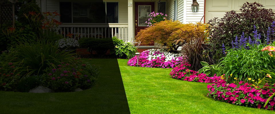 Delaware Landscapers